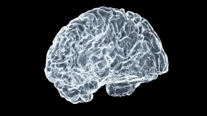 mapa-de-decision-revolucion-neurobiologica-del-instante-cero-wide_webp