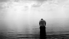 herida-del-rechazo-wide_webp